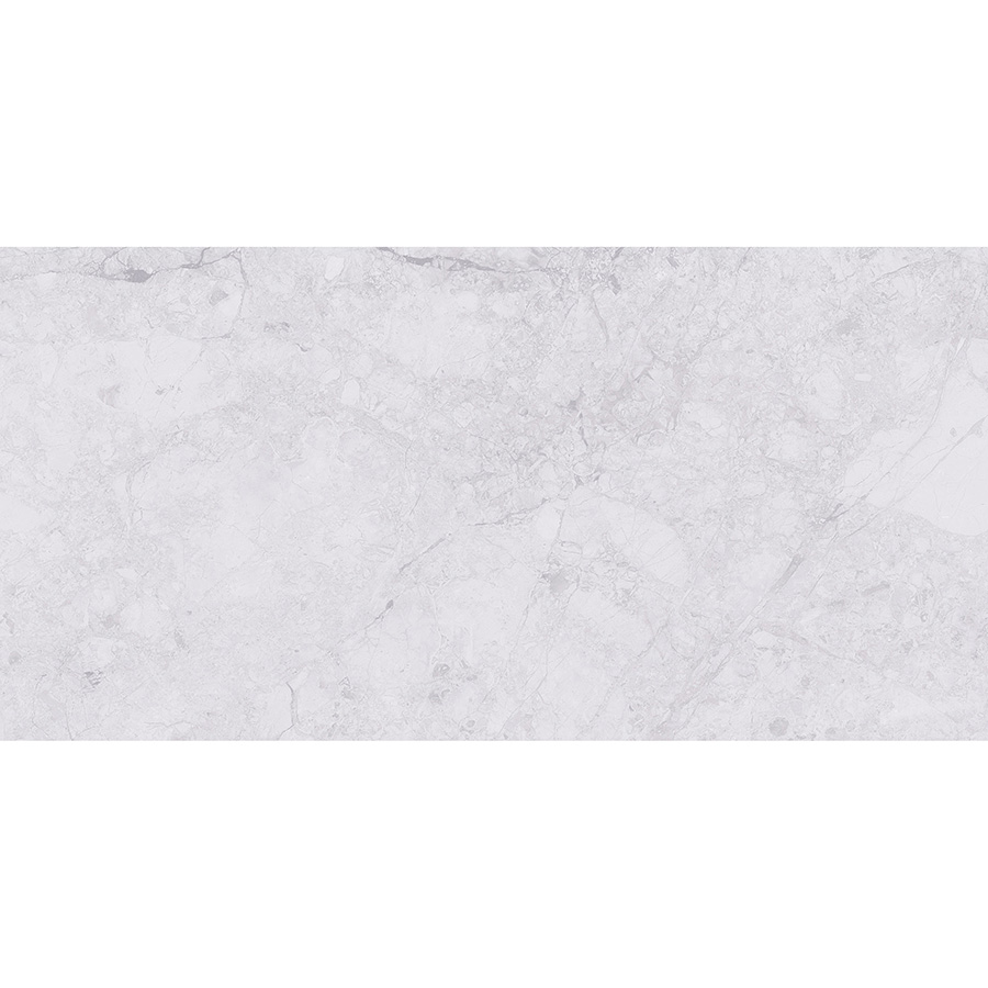 2521 Series 300*600mm Wall Tile